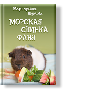 Автор: Маргарита Шумина
Эта книга может стать хорошим помощником для родителей, чьи дети впервые идут в детский сад