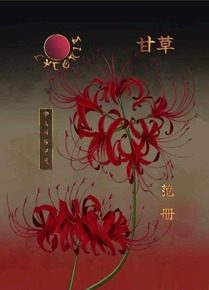 аLYCORIS_artbook(2)