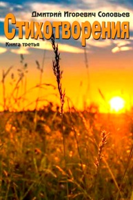 Автор: Дмитрий Игоревич Соловьев. Книга третья